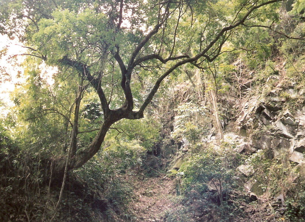 followthepathfrommumbukal.jpg