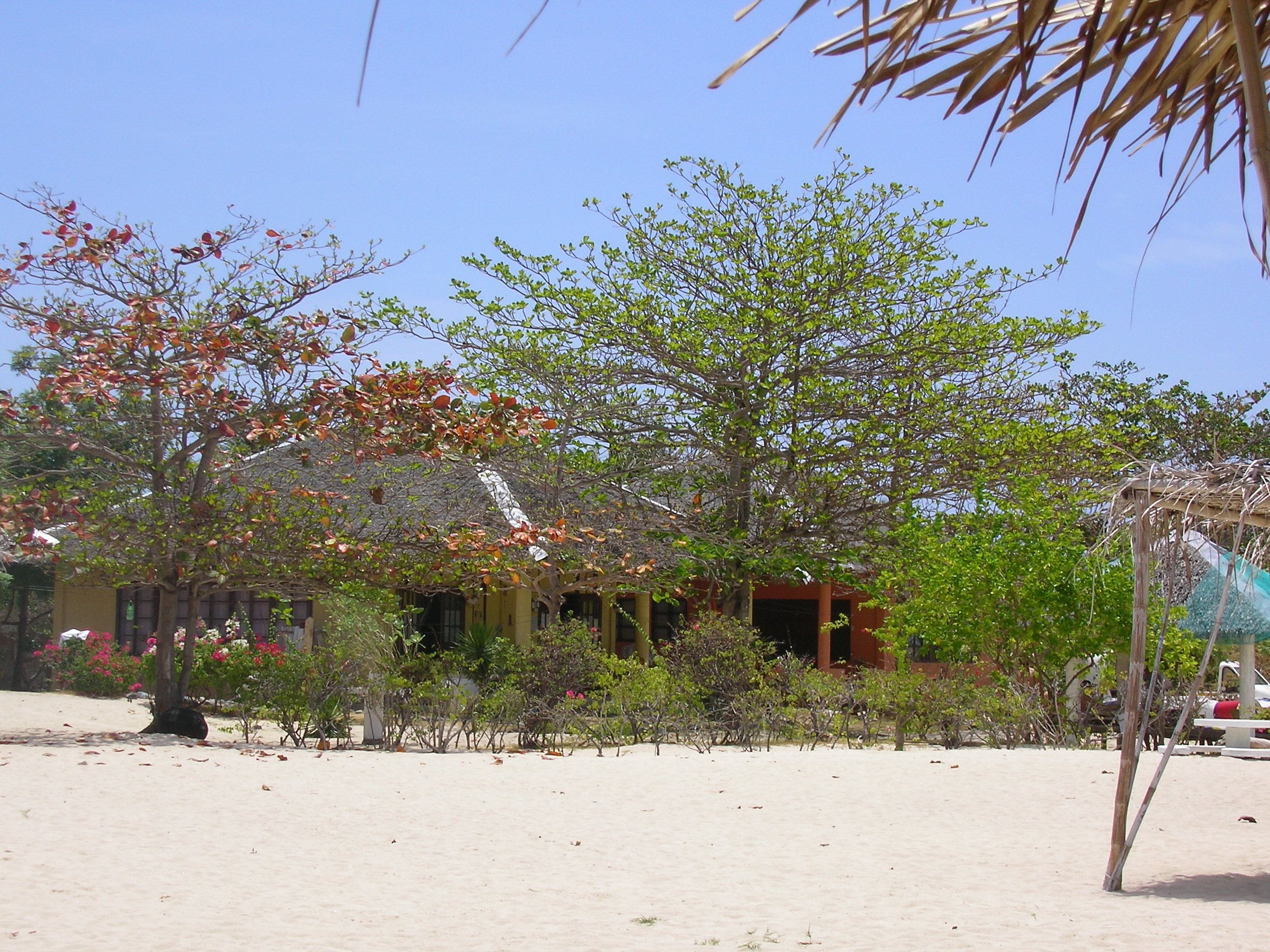 sany0415.jpg